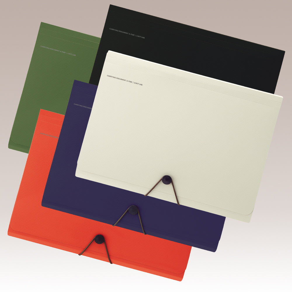 SMART FIT Carrying Document