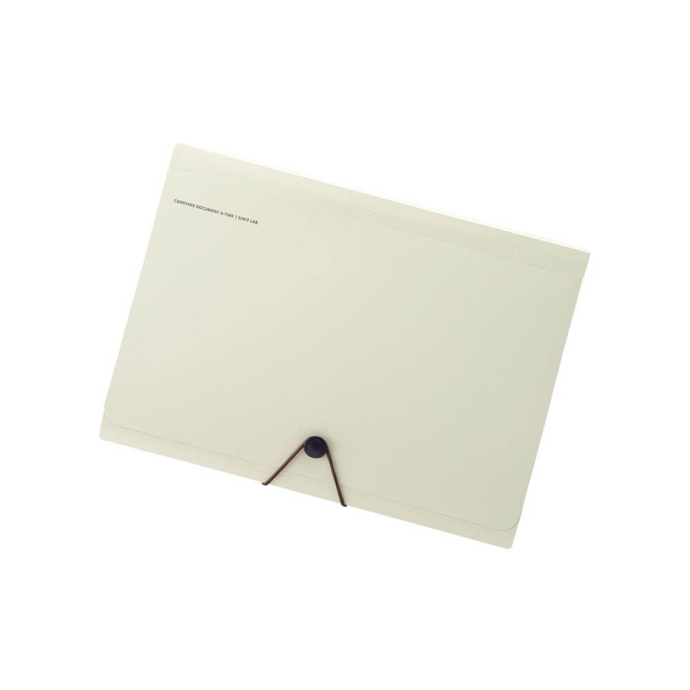 SMART FIT Carrying Document