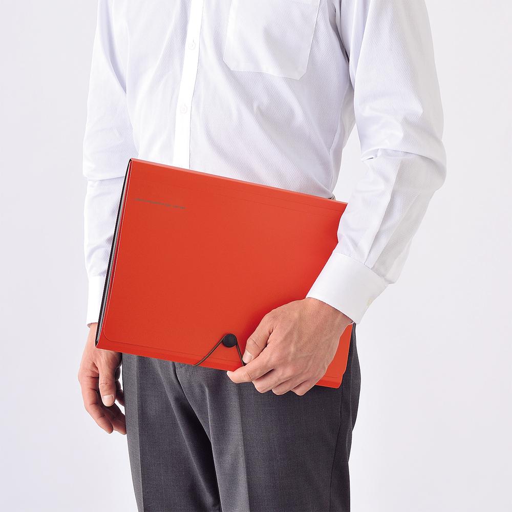 SMART FIT Carrying Document